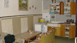 predvyklizenim